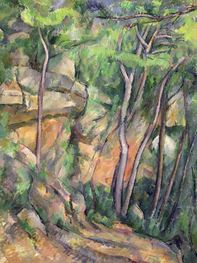 In The Park Of Chateau Noir By Paul Cezanne Fine Art Print