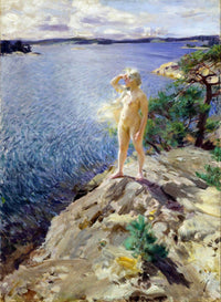 In The Skerries Painting Anders Zorn Canvas Art Fine Art Print