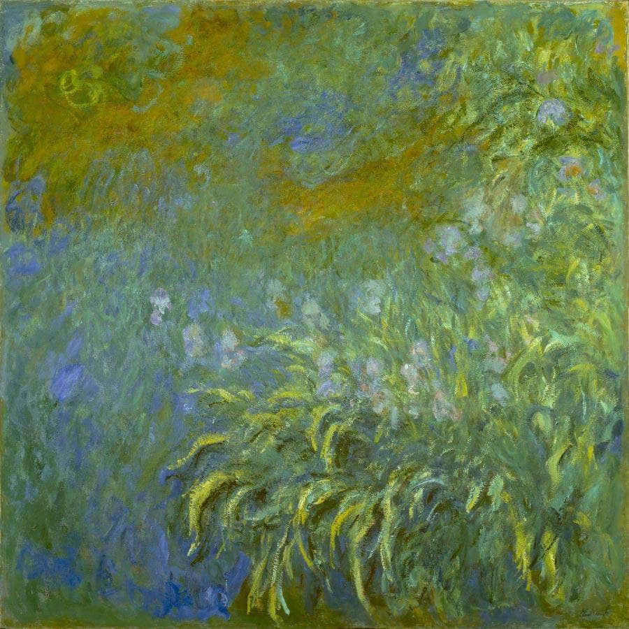 Iris By Monet Claude Fine Art Print