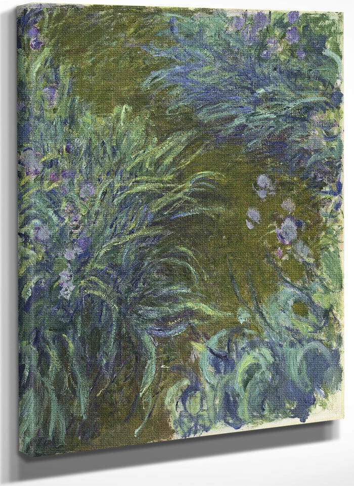 Irises By Claude Monet Fine Art Print