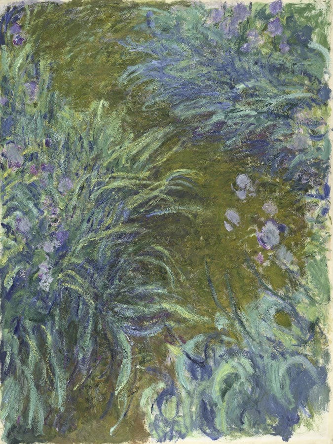 Irises By Claude Monet Fine Art Print