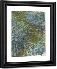 Irises By Claude Monet Fine Art Print