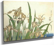 Irises By Hokusai Fine Art Print