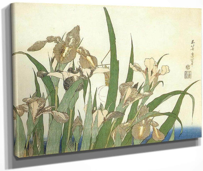 Irises By Hokusai Fine Art Print
