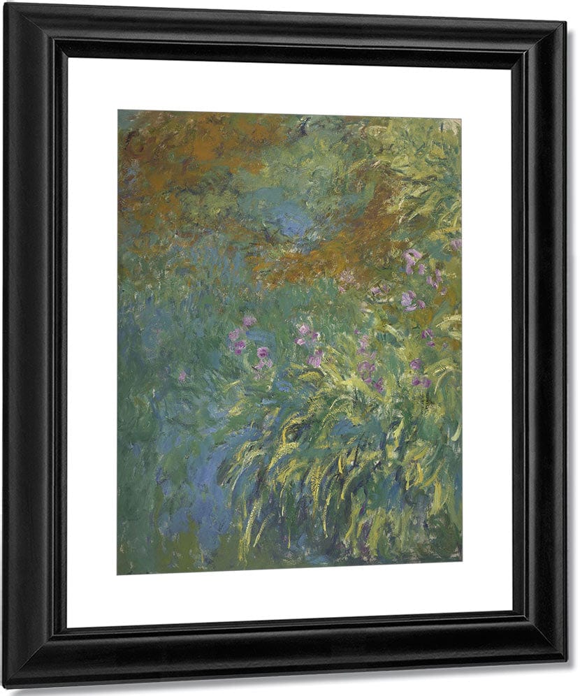 Irises By The Pond By Claude Monet Fine Art Print