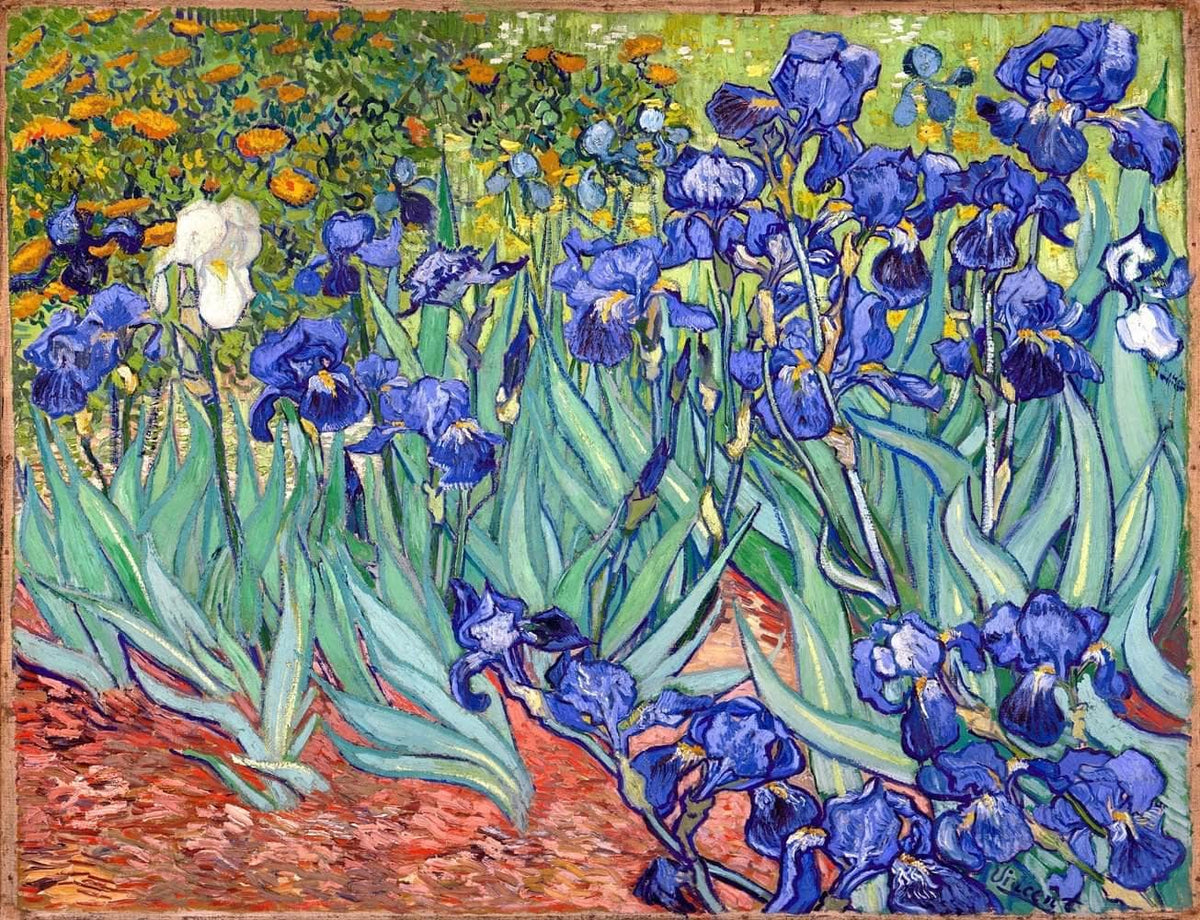 Irises Painting Vincent Van Gogh Canvas Art Fine Art Print