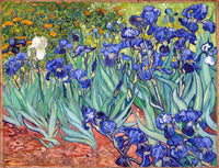 Irises Painting Vincent Van Gogh Canvas Art Fine Art Print