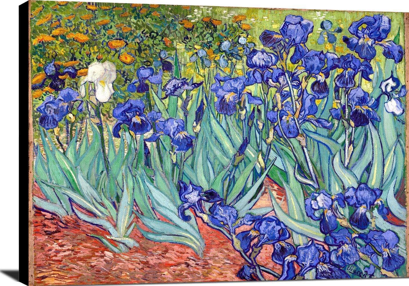 Irises Painting Vincent Van Gogh Canvas Art Fine Art Print