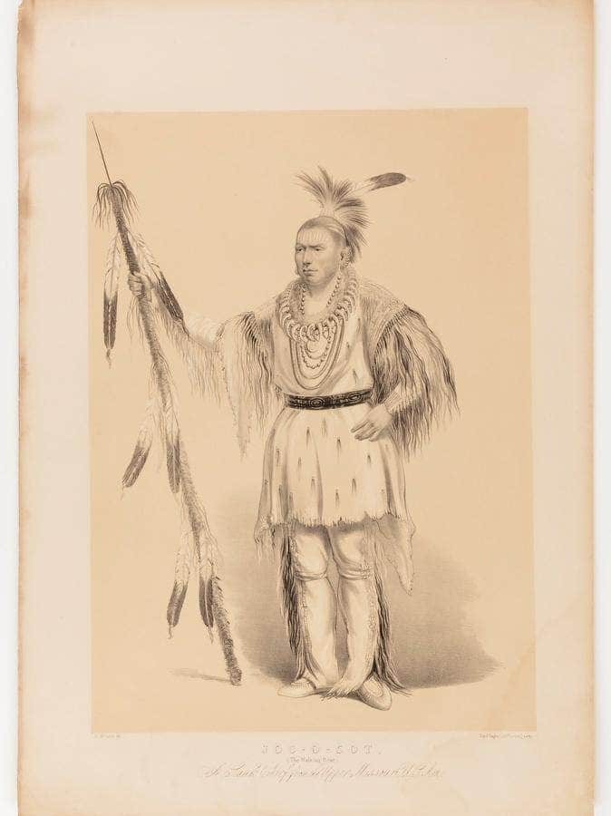 Joc O Sot, The Walking Bear By George Catlin Fine Art Print