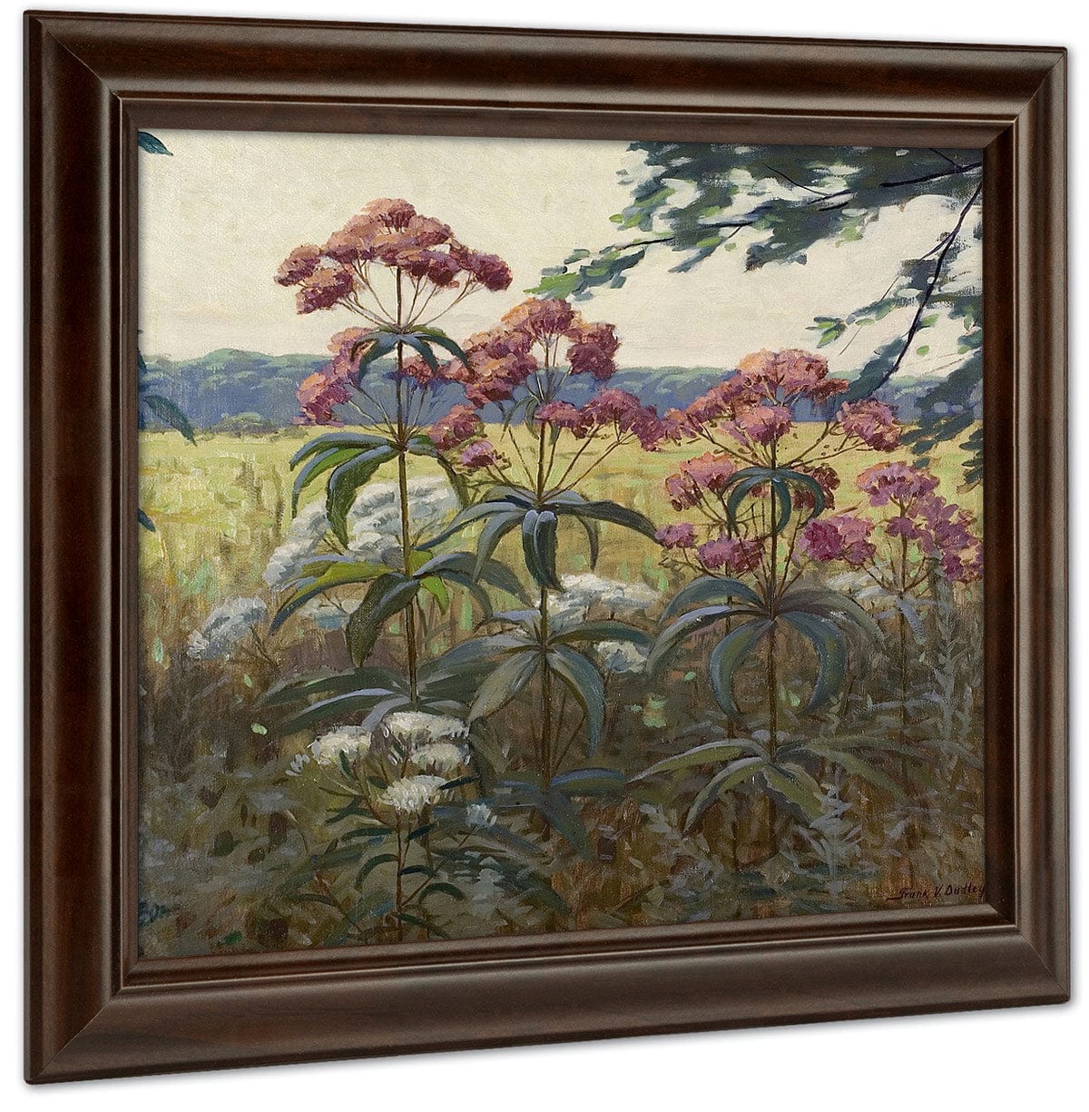 Joe Pye Weed & Boneset By Frank V. Dudley Fine Art Print