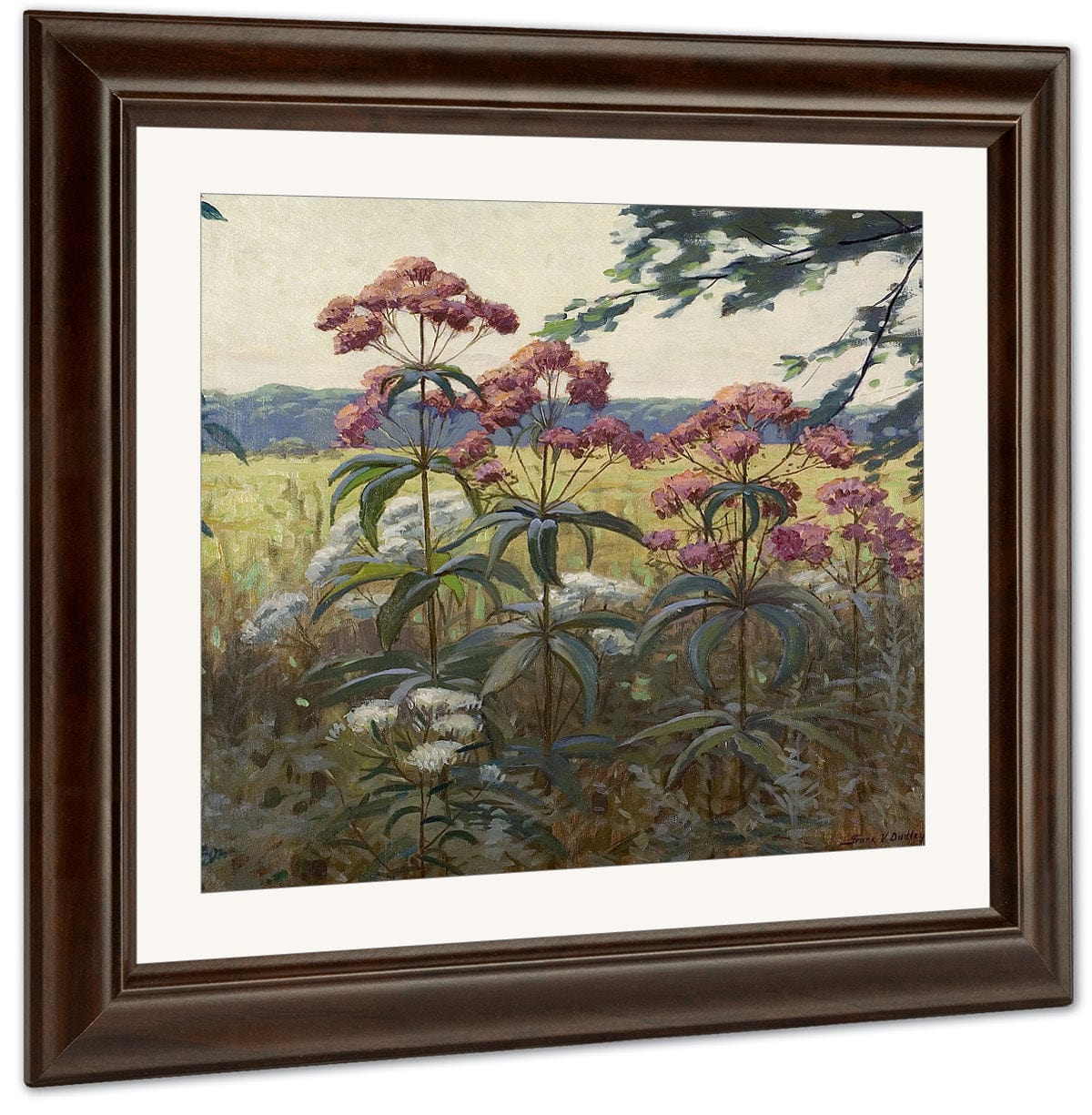 Joe Pye Weed & Boneset By Frank V. Dudley Fine Art Print