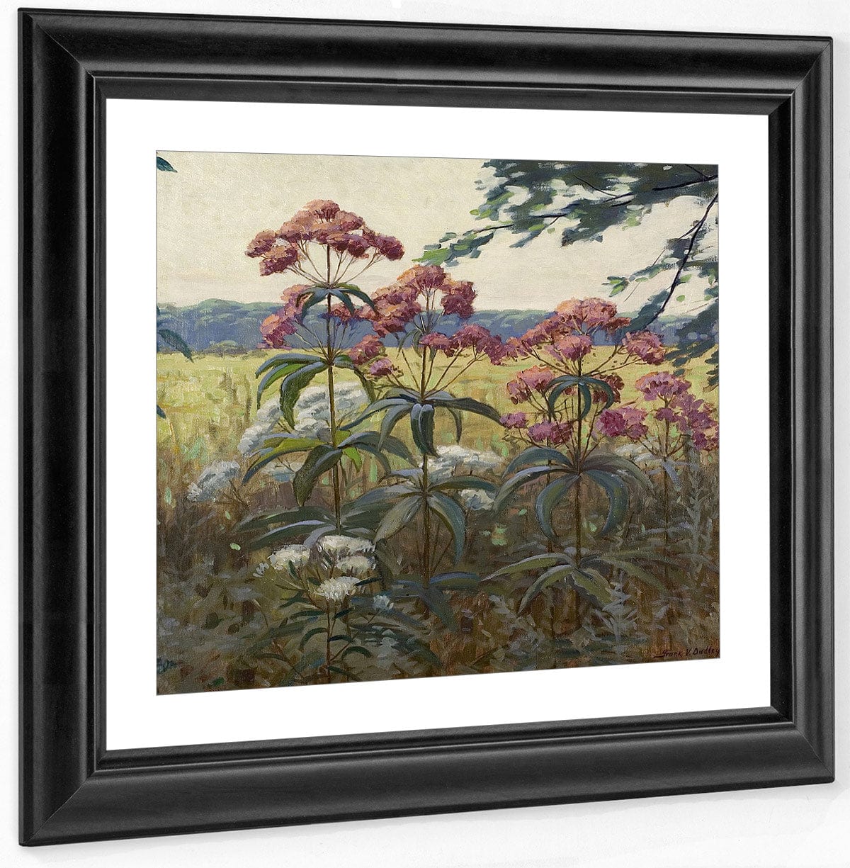 Joe Pye Weed & Boneset By Frank V. Dudley Fine Art Print