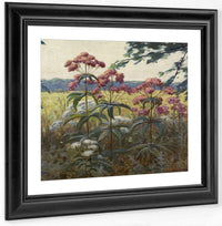 Joe Pye Weed & Boneset By Frank V. Dudley Fine Art Print