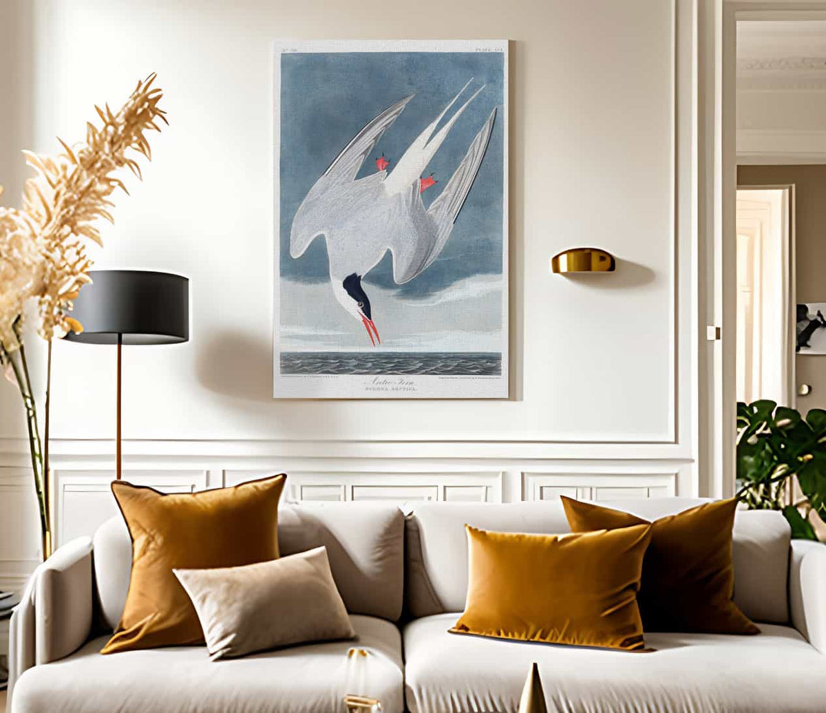 John James Audubon Arctic Tern 1838 By John James Audubon Fine Art Print