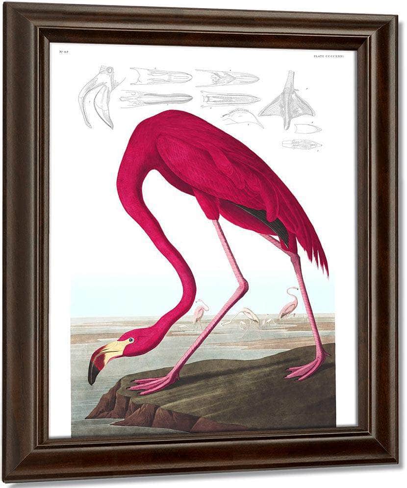 John James Audubon Arctic Tern Copy 1838 By John James Audubon Fine Art Print
