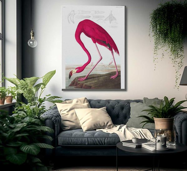 John James Audubon Arctic Tern Copy 1838 By John James Audubon Fine Art Print