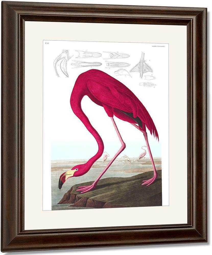 John James Audubon Arctic Tern Copy 1838 By John James Audubon Fine Art Print