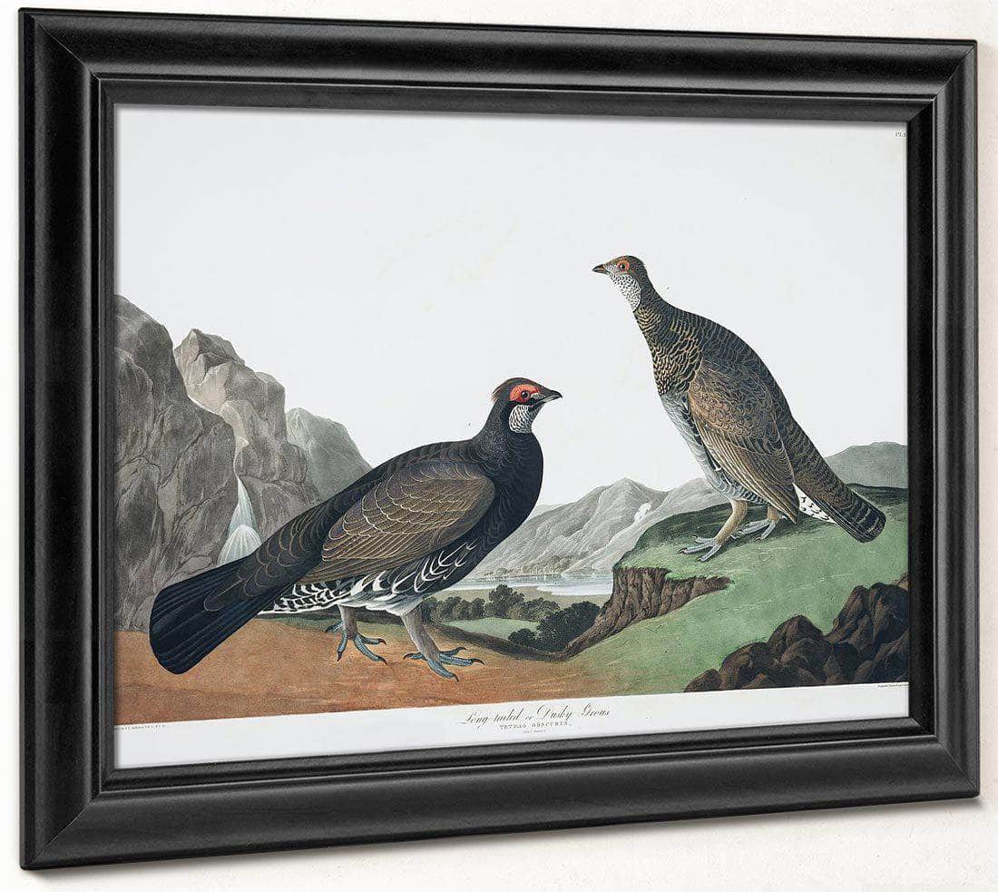 John James Audubon Arctic Tern Copy 4 1838 By John James Audubon Fine Art Print