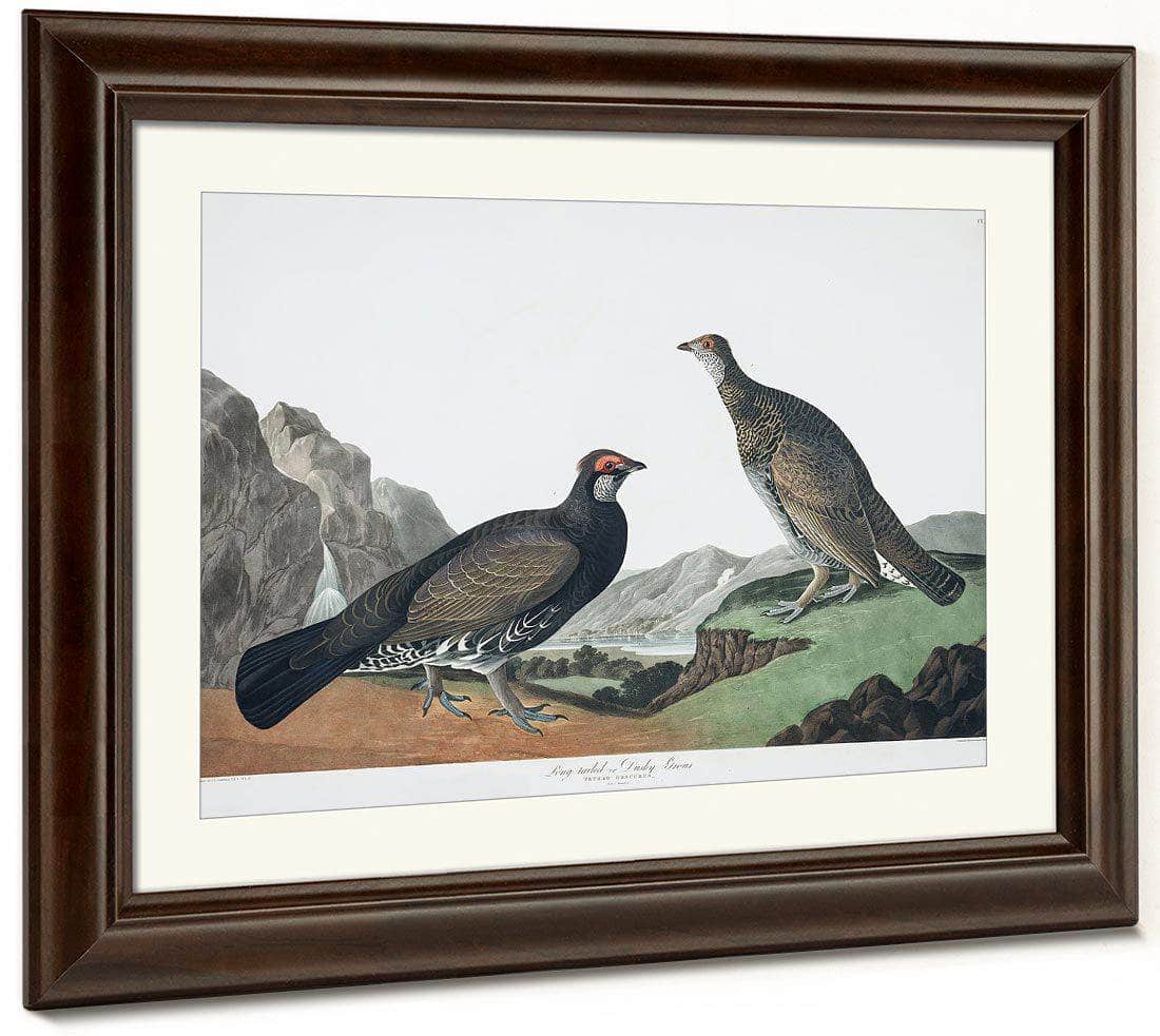 John James Audubon Arctic Tern Copy 4 1838 By John James Audubon Fine Art Print