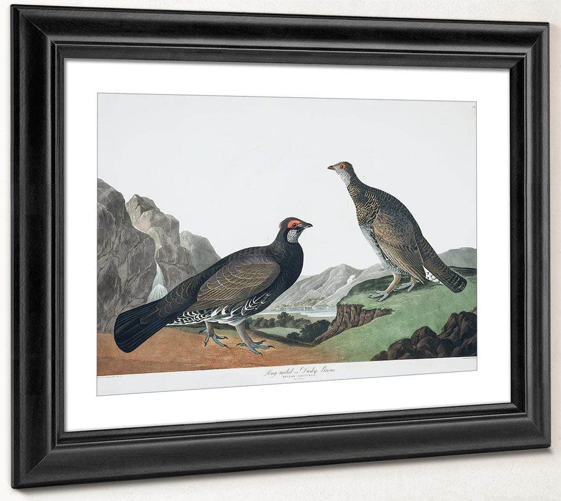 John James Audubon Arctic Tern Copy 4 1838 By John James Audubon Fine Art Print