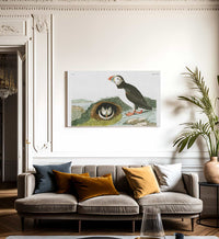 John James Audubon Arctic Tern Copy 5 1838 By John James Audubon Fine Art Print