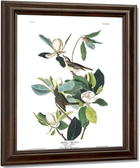 John James Audubon Arctic Tern Copy 8 1838 By John James Audubon Fine Art Print