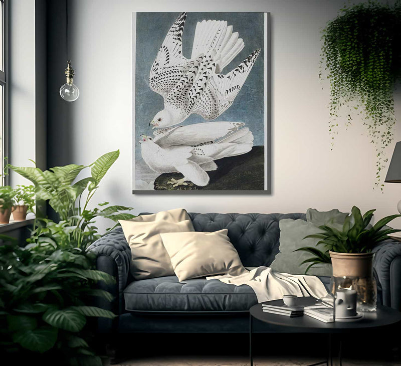 John James Audubon Iceland Or Jer Falcon 1838 By John James Audubon Fine Art Print