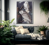 John James Audubon Snowy Owl 1838 By John James Audubon Fine Art Print