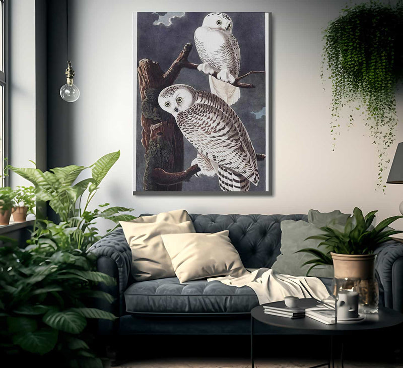 John James Audubon Snowy Owl 1838 By John James Audubon Fine Art Print
