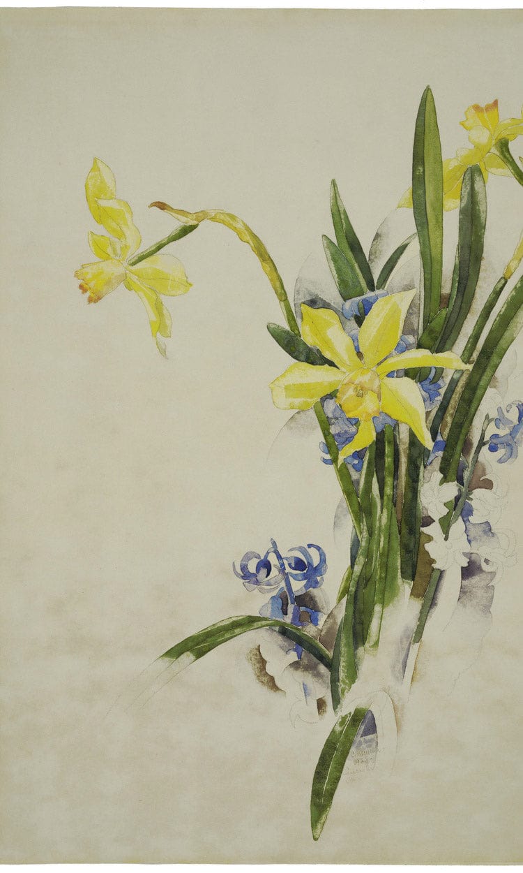 Jonquils By Charles Demuth Fine Art Print