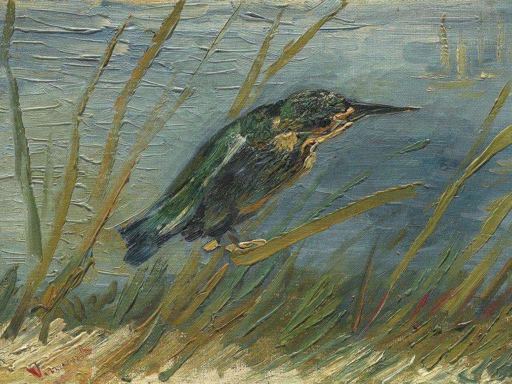 Kingfisher By The Waterside By Vincent Van Gogh Fine Art Print