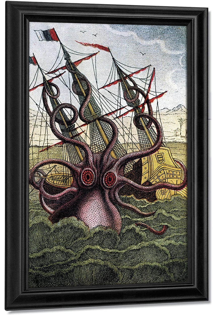 Kraken Pulpo Calamar By Pierre Denys De Montfort Fine Art Print