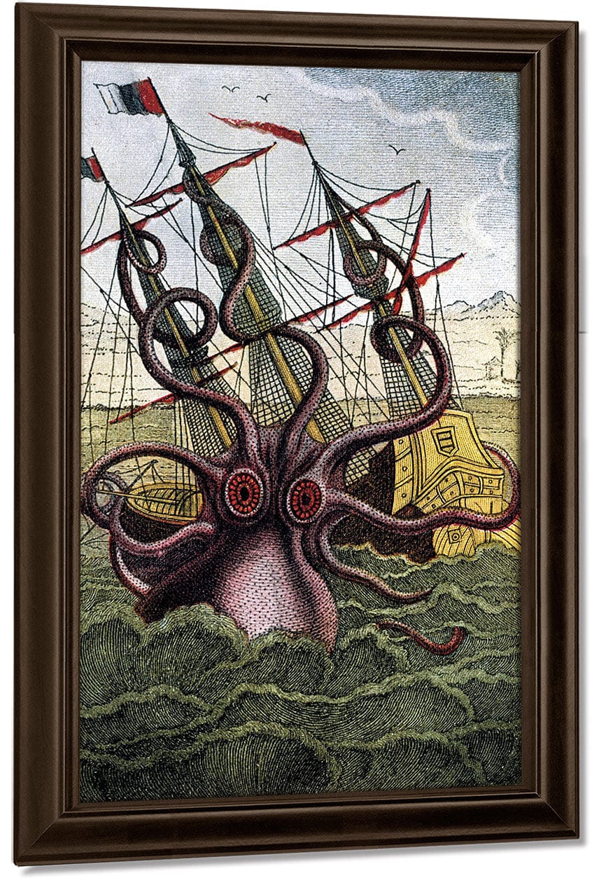 Kraken Pulpo Calamar By Pierre Denys De Montfort Fine Art Print