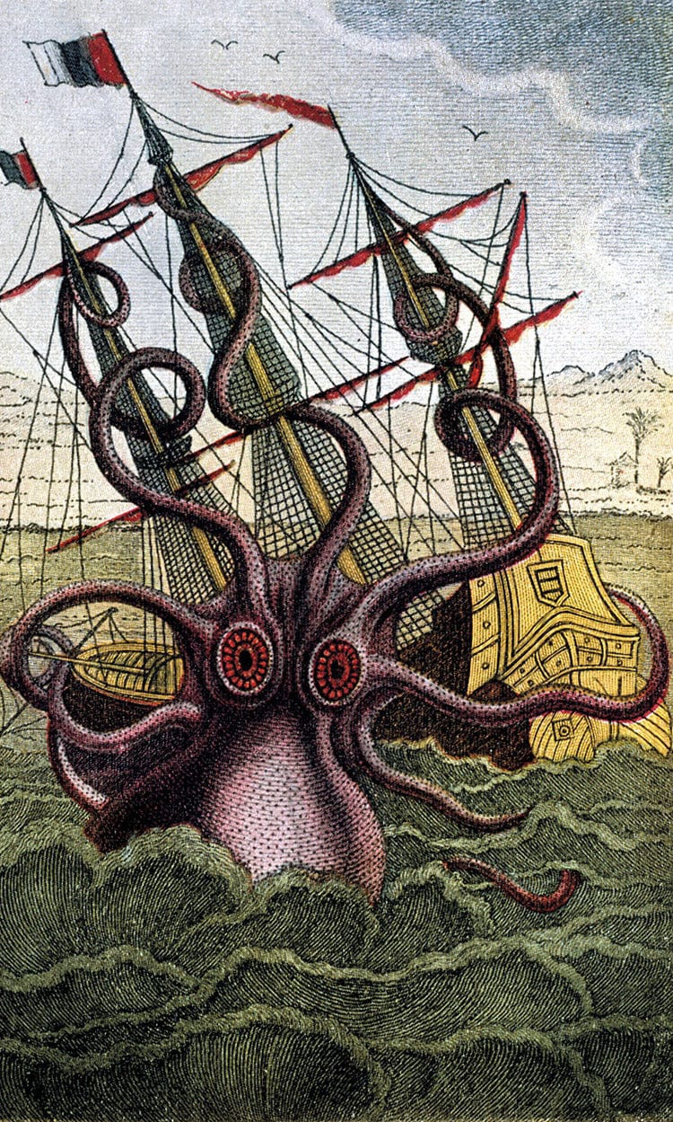 Kraken Pulpo Calamar By Pierre Denys De Montfort Fine Art Print