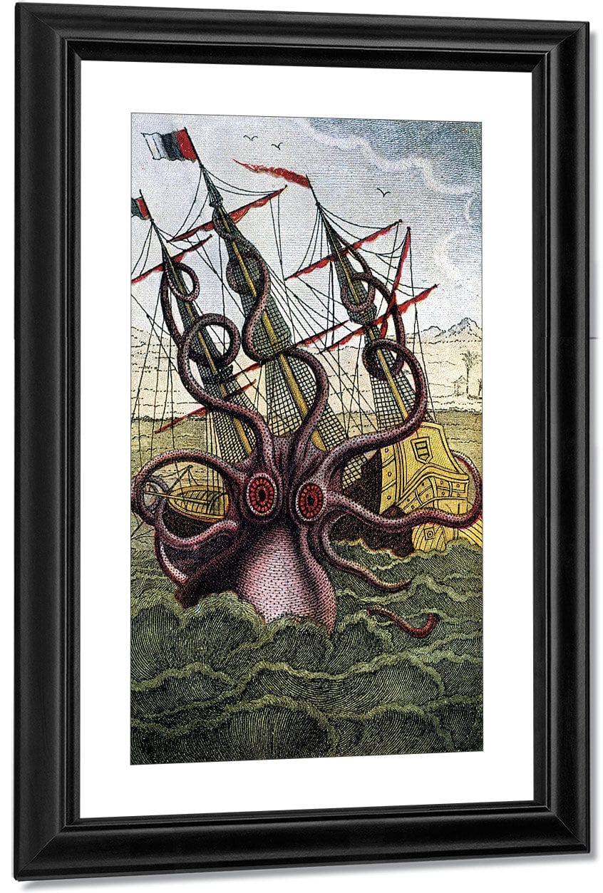Kraken Pulpo Calamar By Pierre Denys De Montfort Fine Art Print
