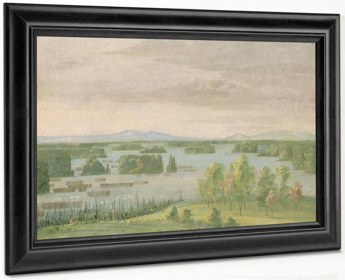 Lac Du Cygne (Swan Lake), Near The Coteau Des Prairies By George Catlin Fine Art Print