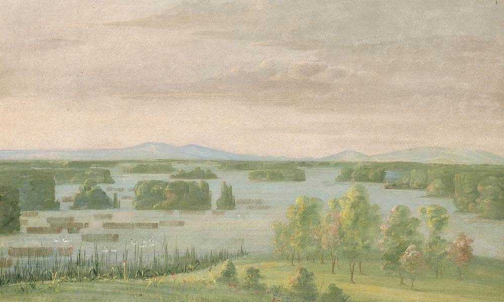 Lac Du Cygne (Swan Lake), Near The Coteau Des Prairies By George Catlin Fine Art Print