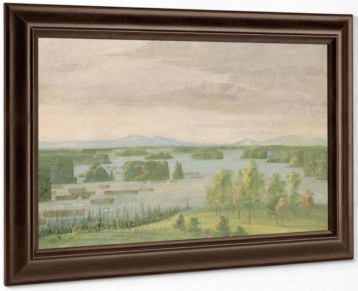 Lac Du Cygne (Swan Lake), Near The Coteau Des Prairies By George Catlin Fine Art Print