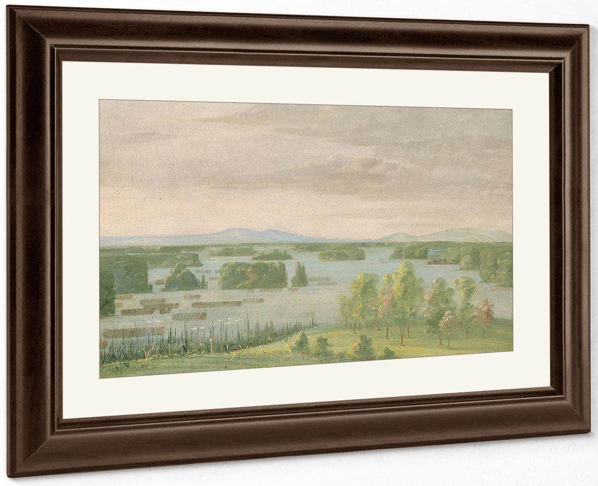 Lac Du Cygne (Swan Lake), Near The Coteau Des Prairies By George Catlin Fine Art Print