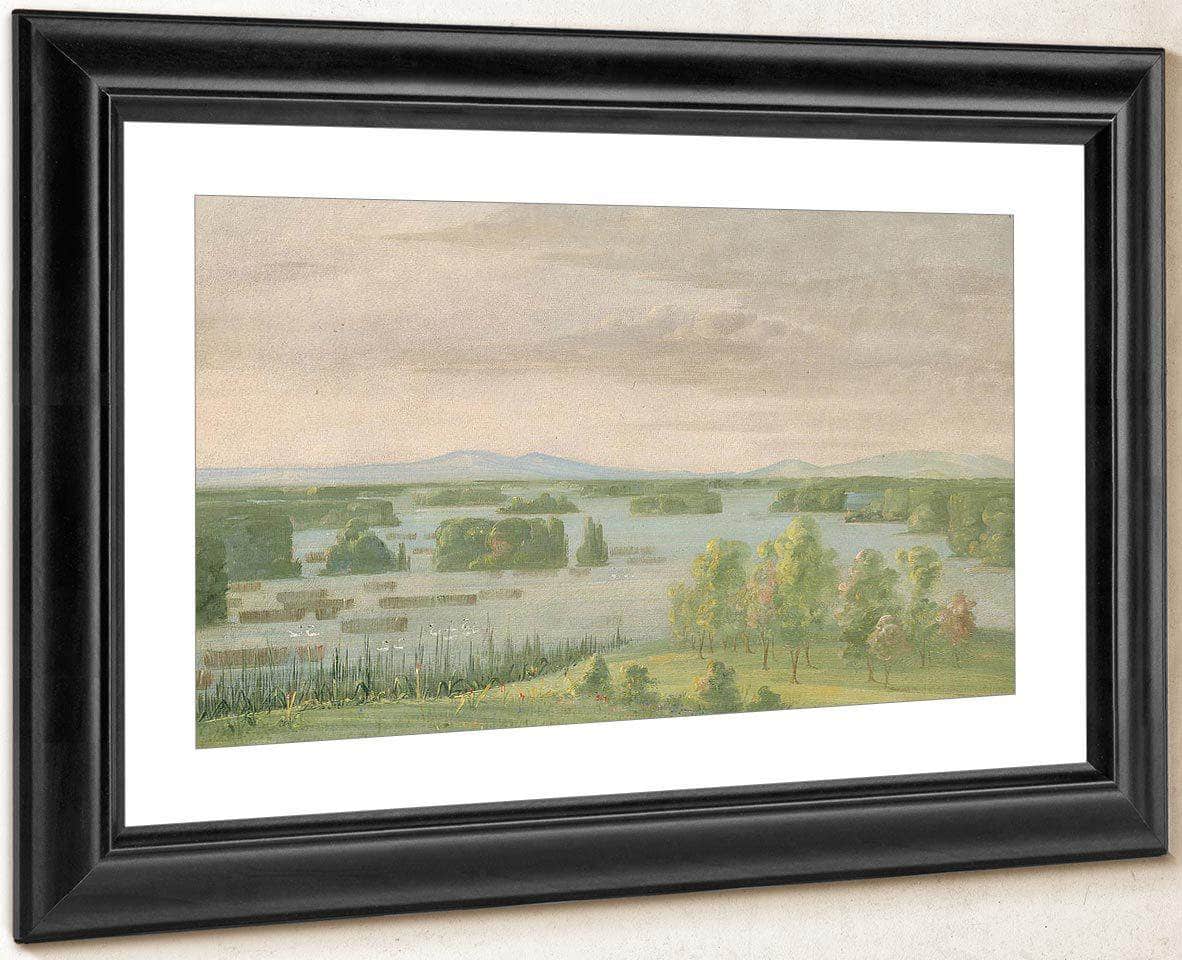 Lac Du Cygne (Swan Lake), Near The Coteau Des Prairies By George Catlin Fine Art Print
