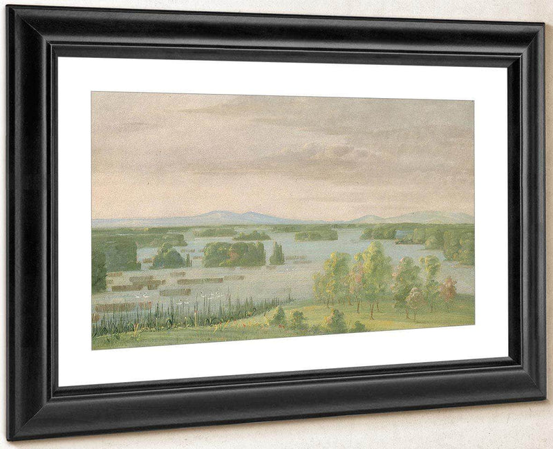 Lac Du Cygne (Swan Lake), Near The Coteau Des Prairies By George Catlin Fine Art Print