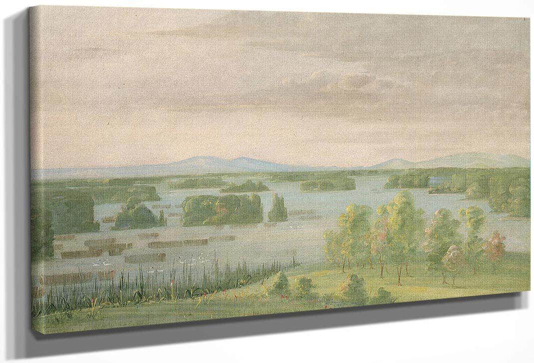 Lac Du Cygne (Swan Lake), Near The Coteau Des Prairies By George Catlin Fine Art Print