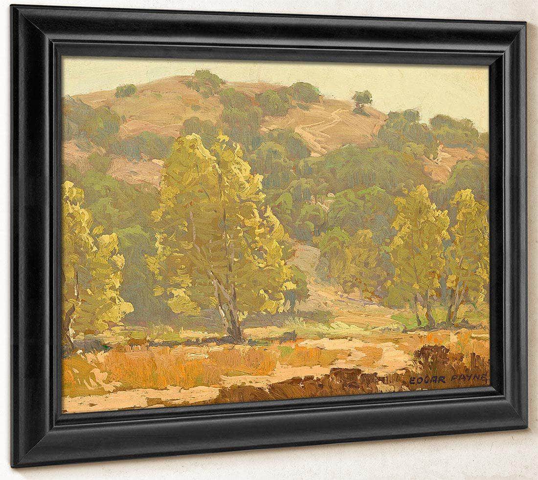 Laguna Canyon By Edgar Payne Fine Art Print