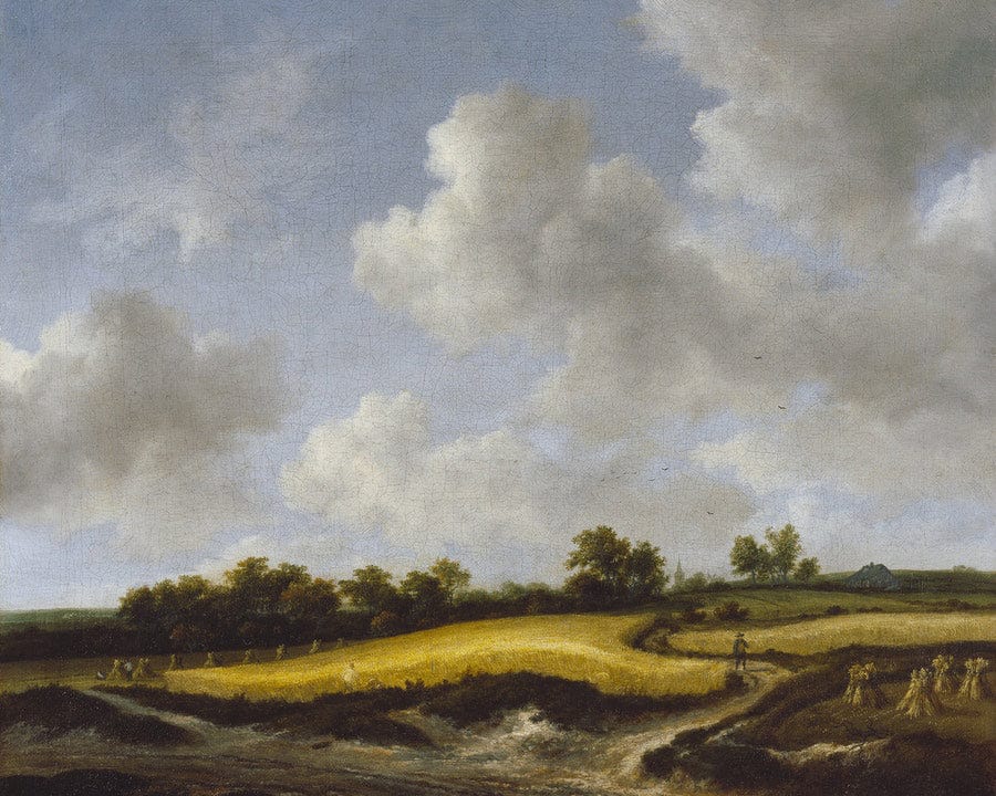 Landscape With A Wheatfield By Jacob Van Ruisdael Fine Art Print