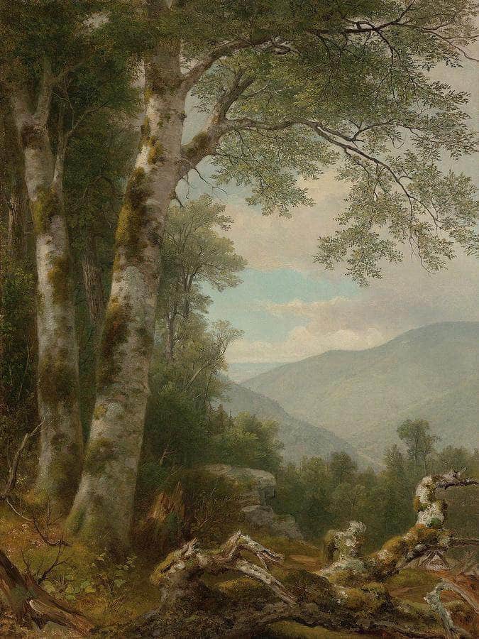 Landscape With Birches By Asher B Durand Fine Art Print