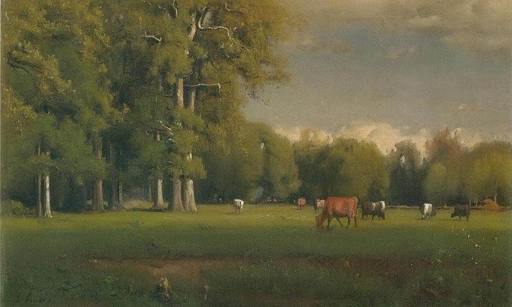 Landscape With Cattle By George Inness Fine Art Print