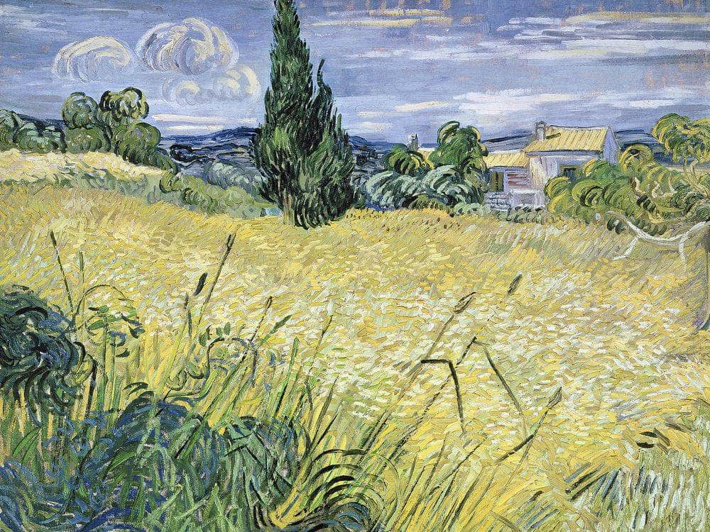 Landscape With Green Corn By Vincent Van Gogh Fine Art Print