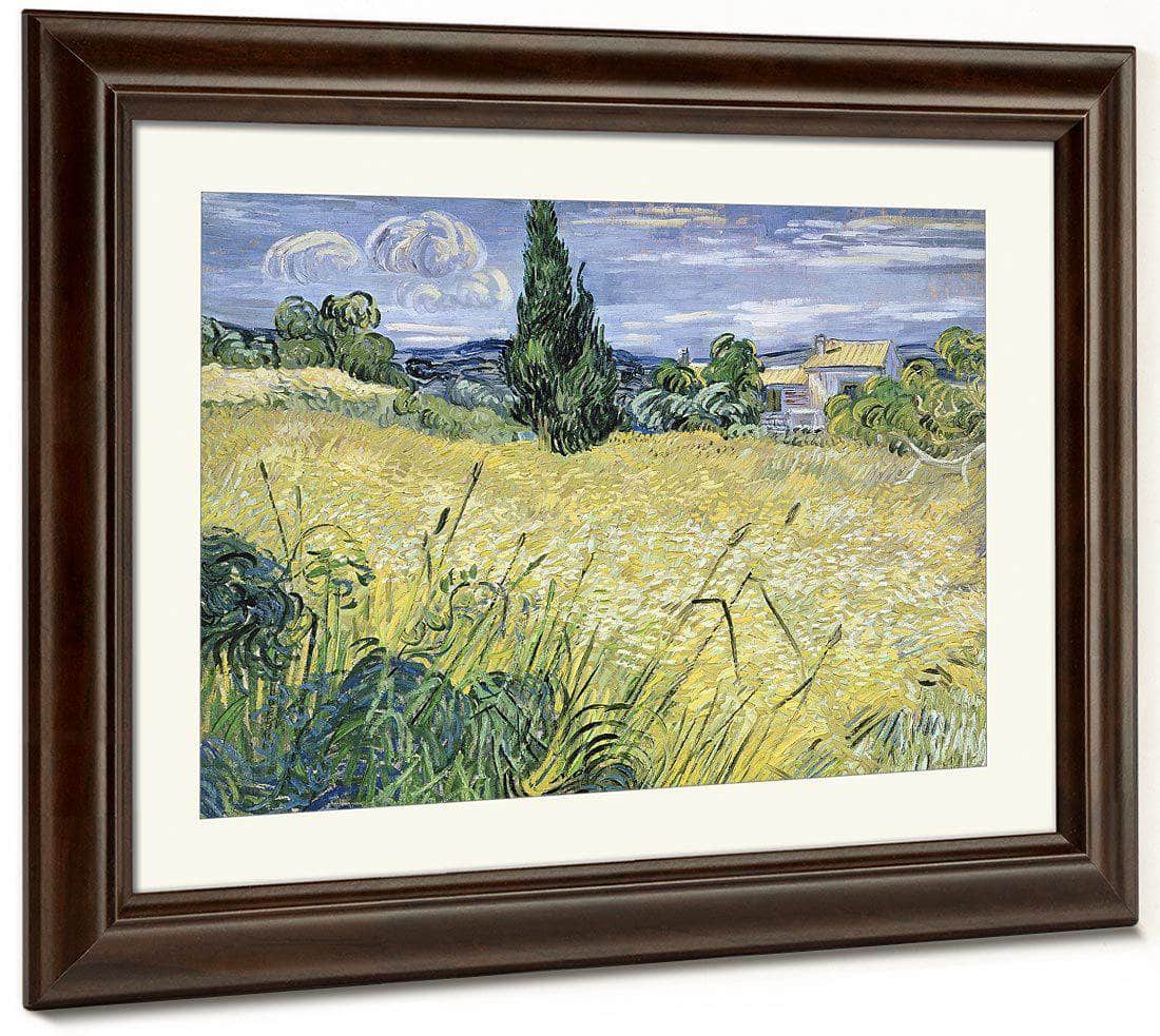Landscape With Green Corn By Vincent Van Gogh Fine Art Print