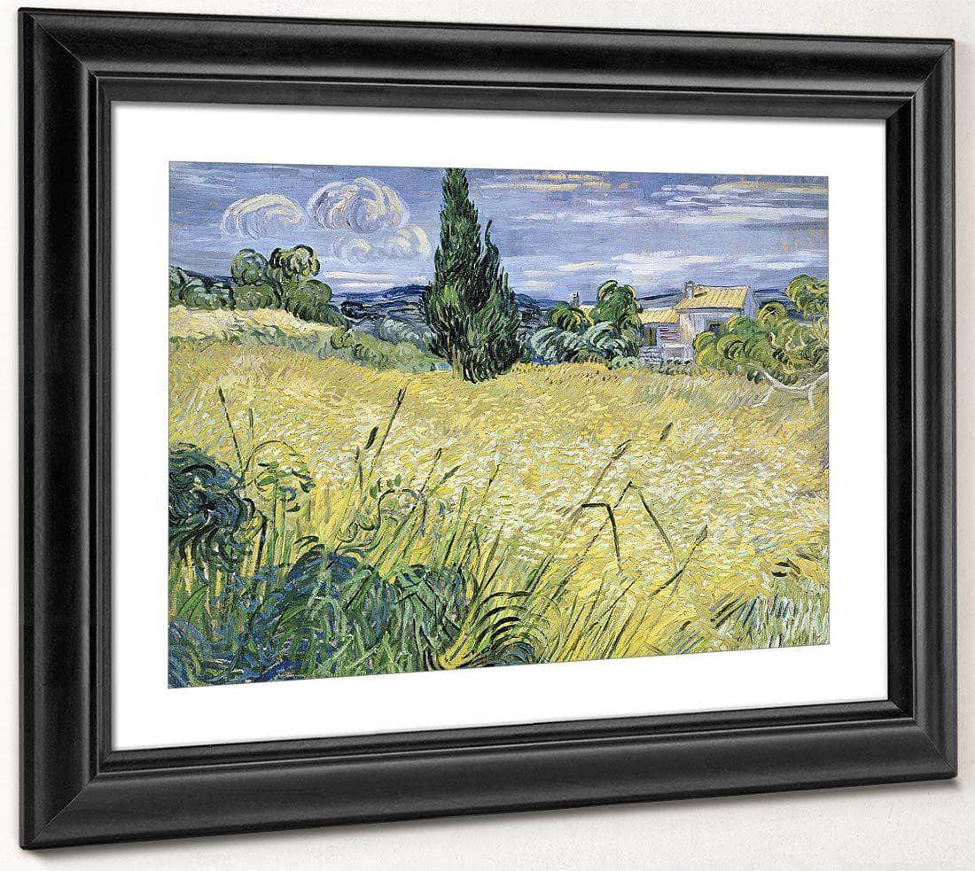 Landscape With Green Corn By Vincent Van Gogh Fine Art Print