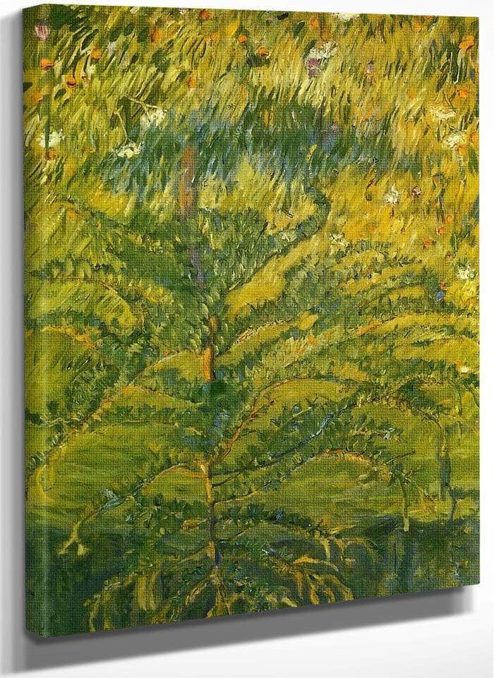 Larch Sapling By Franz Marc Fine Art Print